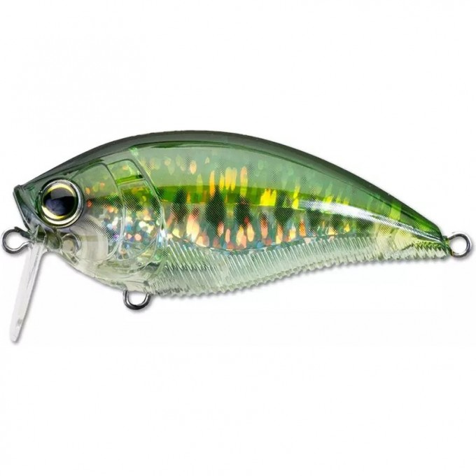 Воблер YO-ZURI 3DB WAKE BAIT 70F R1146-PBB